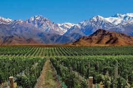 MENDOZA